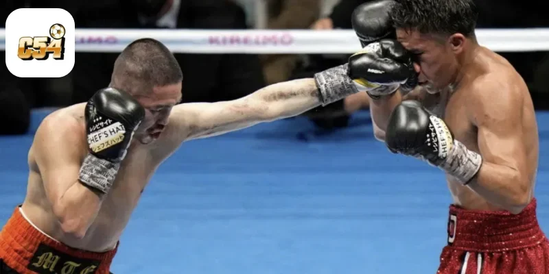 Cá Cược Boxing Online Tại C54 – Đối Kháng Đầy Kịch Tính 4 Phân Tích Võ Sĩ Để Đặt Cược Boxing Hiệu Quả Tại C54