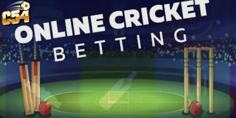 Bí kíp cá cược cricket World Cup C54 chuẩn xác, dễ chơi dễ trúng 3 Chi tiết các hình thức cá cược cricket World Cup C54 phổ biến