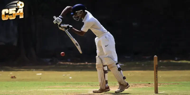 Bí kíp cá cược cricket World Cup C54 chuẩn xác, dễ chơi dễ trúng 2 Tổng quan giải đấu và sức hút cá cược cricket World Cup C54